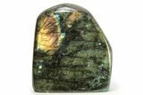 Flashy, Free-Standing Polished Labradorite - Madagascar #268100-1